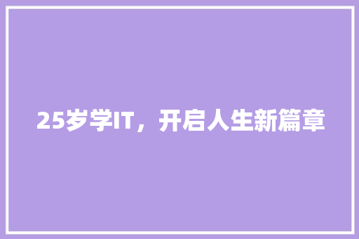 25岁学IT，开启人生新篇章 SEO关键词