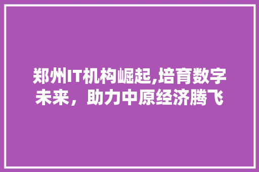 郑州IT机构崛起,培育数字未来，助力中原经济腾飞