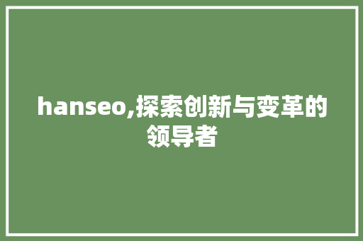 hanseo,探索创新与变革的领导者 网站建设公司