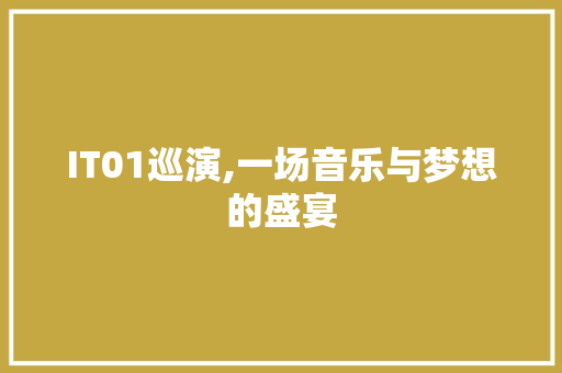 IT01巡演,一场音乐与梦想的盛宴