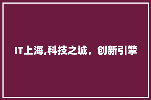 IT上海,科技之城，创新引擎 神马SEO