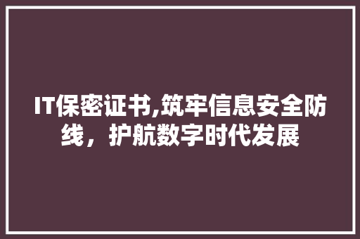 IT保密证书,筑牢信息安全防线，护航数字时代发展 神马SEO