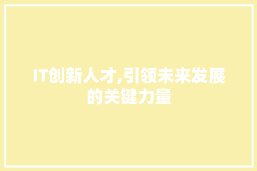 IT创新人才,引领未来发展的关键力量