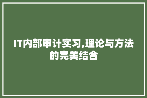 IT内部审计实习,理论与方法的完美结合