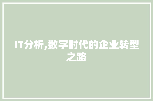 IT分析,数字时代的企业转型之路