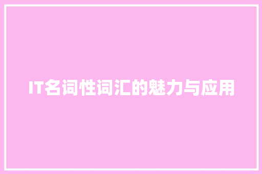 IT名词性词汇的魅力与应用