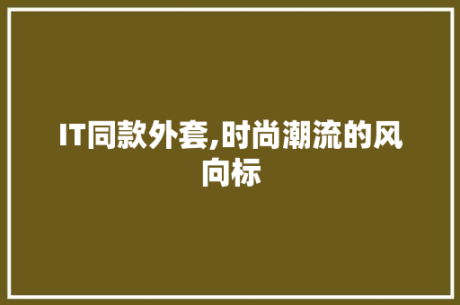 IT同款外套,时尚潮流的风向标