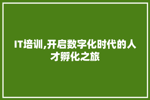 IT培训,开启数字化时代的人才孵化之旅 必应SEO