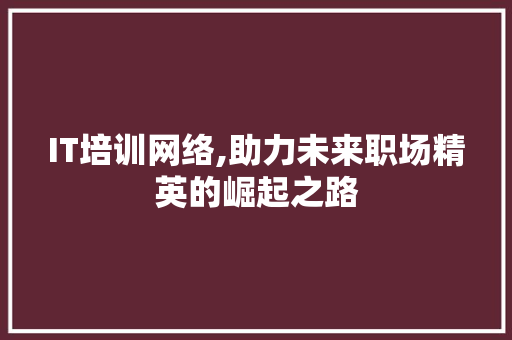 IT培训网络,助力未来职场精英的崛起之路