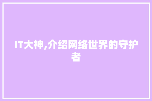 IT大神,介绍网络世界的守护者 网站建设公司
