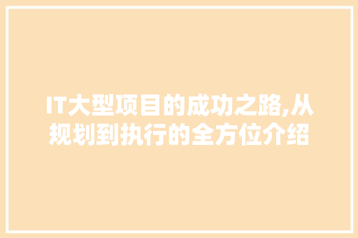 IT大型项目的成功之路,从规划到执行的全方位介绍