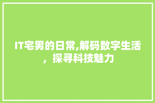 IT宅男的日常,解码数字生活，探寻科技魅力 SEO关键词