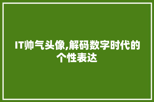 IT帅气头像,解码数字时代的个性表达 百度SEO