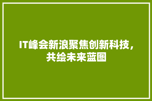 IT峰会新浪聚焦创新科技，共绘未来蓝图 神马SEO