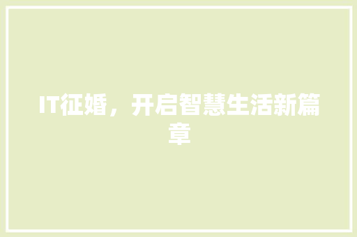 IT征婚，开启智慧生活新篇章 SEO关键词