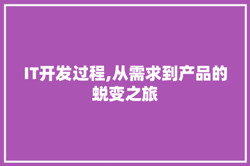 IT开发过程,从需求到产品的蜕变之旅 必应SEO