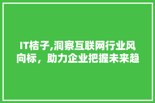 IT桔子,洞察互联网行业风向标，助力企业把握未来趋势 神马SEO