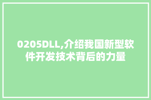 0205DLL,介绍我国新型软件开发技术背后的力量