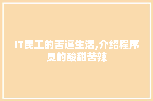 IT民工的苦逼生活,介绍程序员的酸甜苦辣