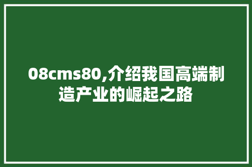 08cms80,介绍我国高端制造产业的崛起之路
