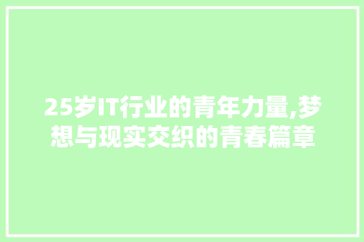 25岁IT行业的青年力量,梦想与现实交织的青春篇章