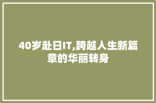 40岁赴日IT,跨越人生新篇章的华丽转身 神马SEO