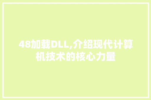 48加载DLL,介绍现代计算机技术的核心力量 神马SEO