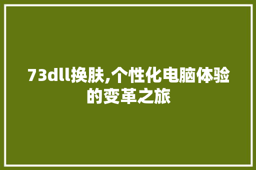 73dll换肤,个性化电脑体验的变革之旅 必应SEO