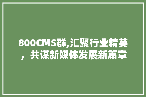 800CMS群,汇聚行业精英，共谋新媒体发展新篇章