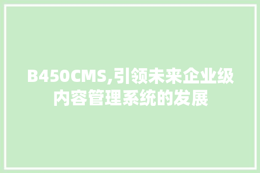 B450CMS,引领未来企业级内容管理系统的发展 网站建设公司