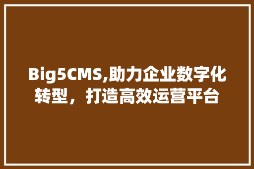 Big5CMS,助力企业数字化转型，打造高效运营平台