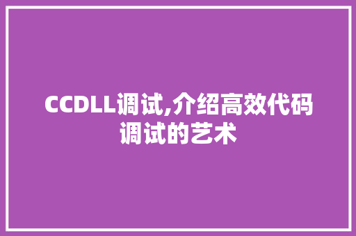 CCDLL调试,介绍高效代码调试的艺术 必应SEO