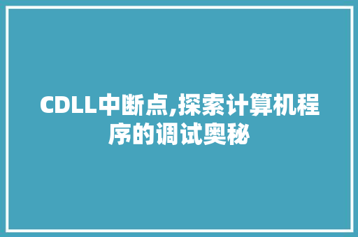 CDLL中断点,探索计算机程序的调试奥秘 必应SEO