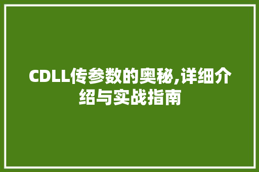 CDLL传参数的奥秘,详细介绍与实战指南 必应SEO