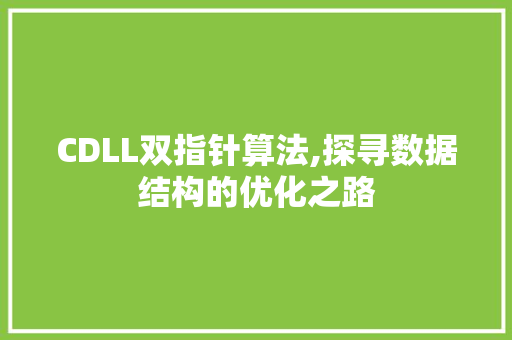CDLL双指针算法,探寻数据结构的优化之路 网站建设公司