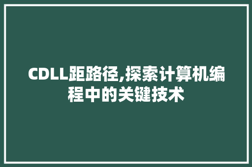 CDLL距路径,探索计算机编程中的关键技术