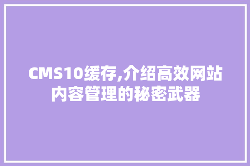 CMS10缓存,介绍高效网站内容管理的秘密武器 必应SEO