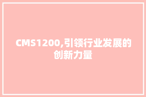 CMS1200,引领行业发展的创新力量 网站建设公司