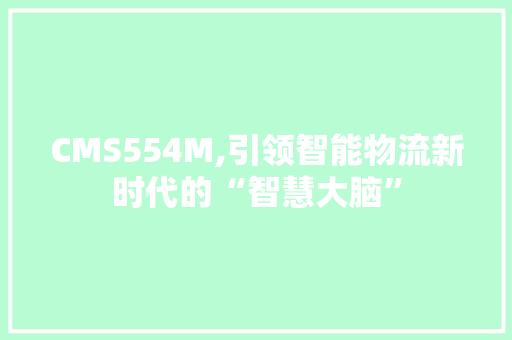 CMS554M,引领智能物流新时代的“智慧大脑” SEO关键词
