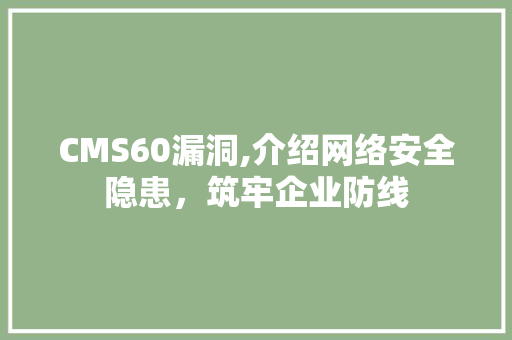 CMS60漏洞,介绍网络安全隐患，筑牢企业防线 必应SEO