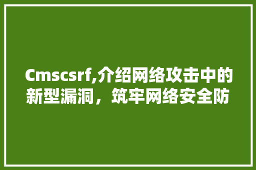 Cmscsrf,介绍网络攻击中的新型漏洞，筑牢网络安全防线 网站建设公司