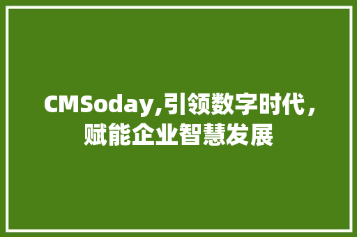 CMSoday,引领数字时代，赋能企业智慧发展 网站建设公司