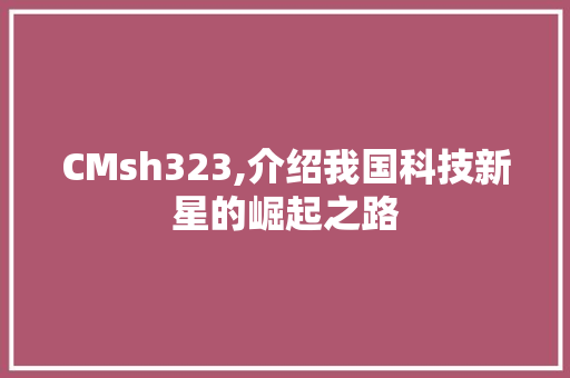 CMsh323,介绍我国科技新星的崛起之路 神马SEO