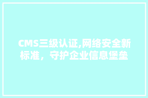 CMS三级认证,网络安全新标准，守护企业信息堡垒 神马SEO