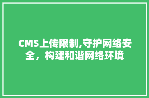 CMS上传限制,守护网络安全，构建和谐网络环境