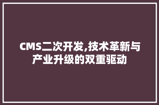 CMS二次开发,技术革新与产业升级的双重驱动 神马SEO