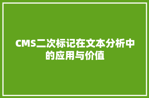 CMS二次标记在文本分析中的应用与价值