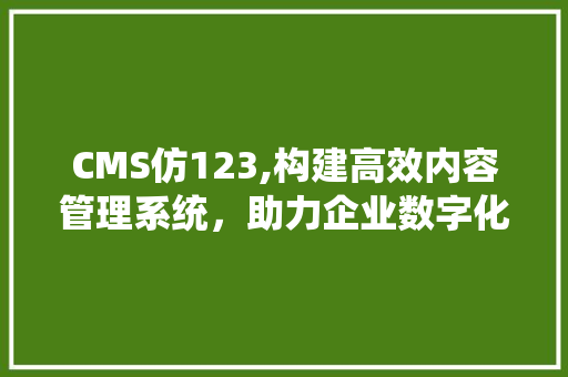CMS仿123,构建高效内容管理系统，助力企业数字化转型 网站建设公司