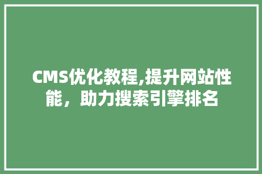 CMS优化教程,提升网站性能，助力搜索引擎排名