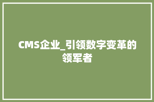 CMS企业_引领数字变革的领军者 百度SEO
